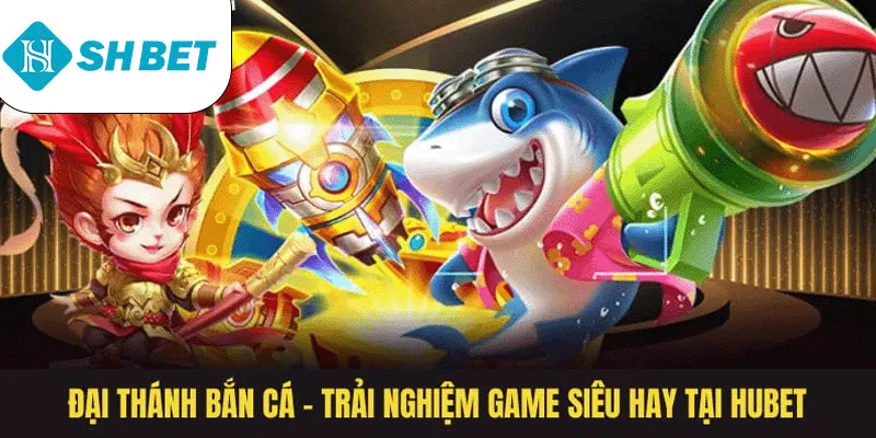 Banner www.maylanhdidong.vn