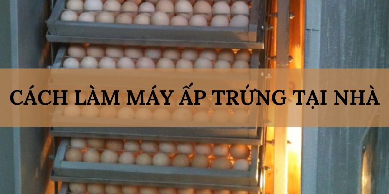 Banner www.maylanhdidong.vn