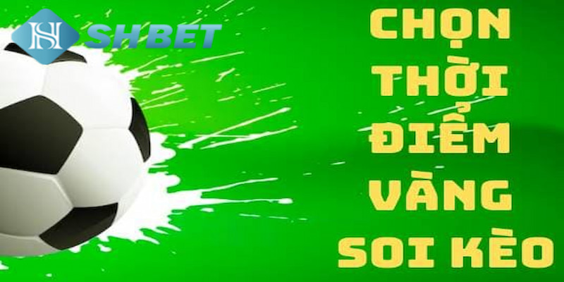 Banner www.maylanhdidong.vn