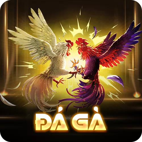 Banner www.maylanhdidong.vn