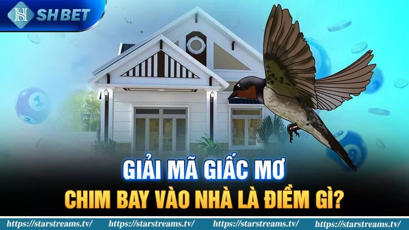 Banner www.maylanhdidong.vn