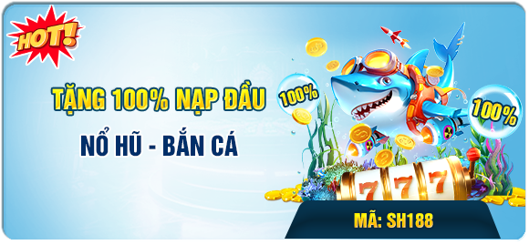 Banner www.maylanhdidong.vn
