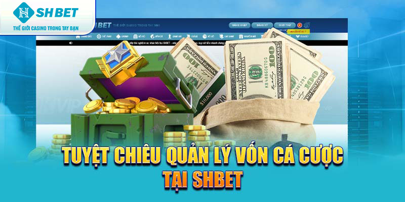 Banner www.maylanhdidong.vn