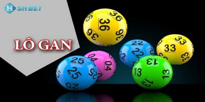 Banner www.maylanhdidong.vn