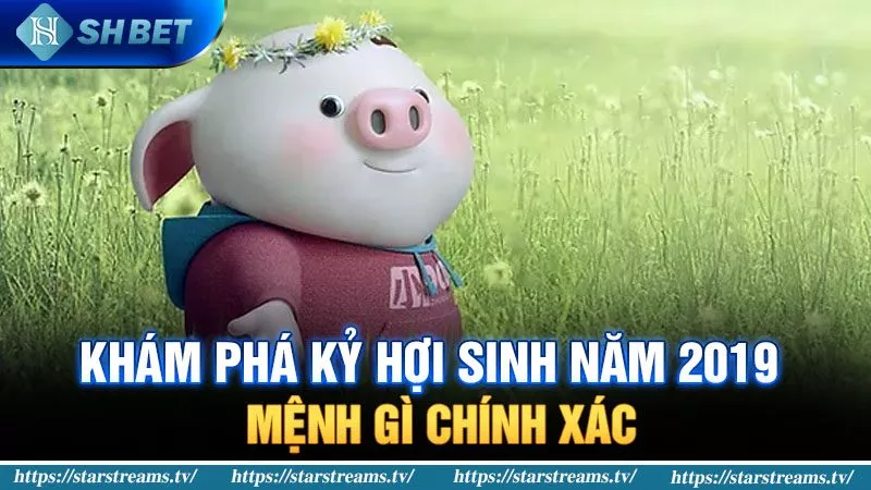 Banner www.maylanhdidong.vn