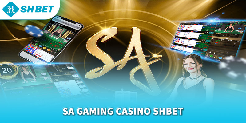 Banner www.maylanhdidong.vn