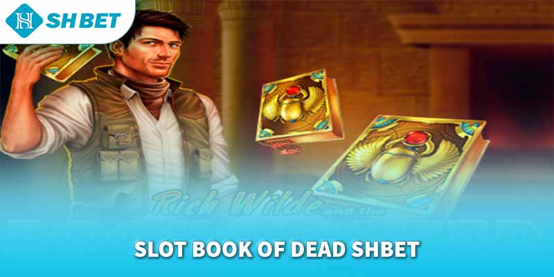 Banner www.maylanhdidong.vn