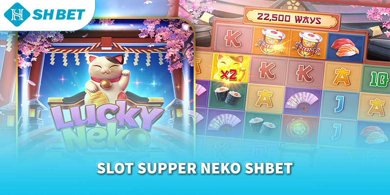 Banner www.maylanhdidong.vn